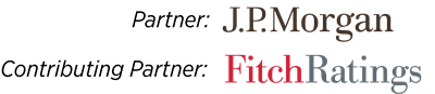 AFP DEI Initiative Partners